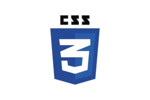 CSS3-Logo-webigen.webp